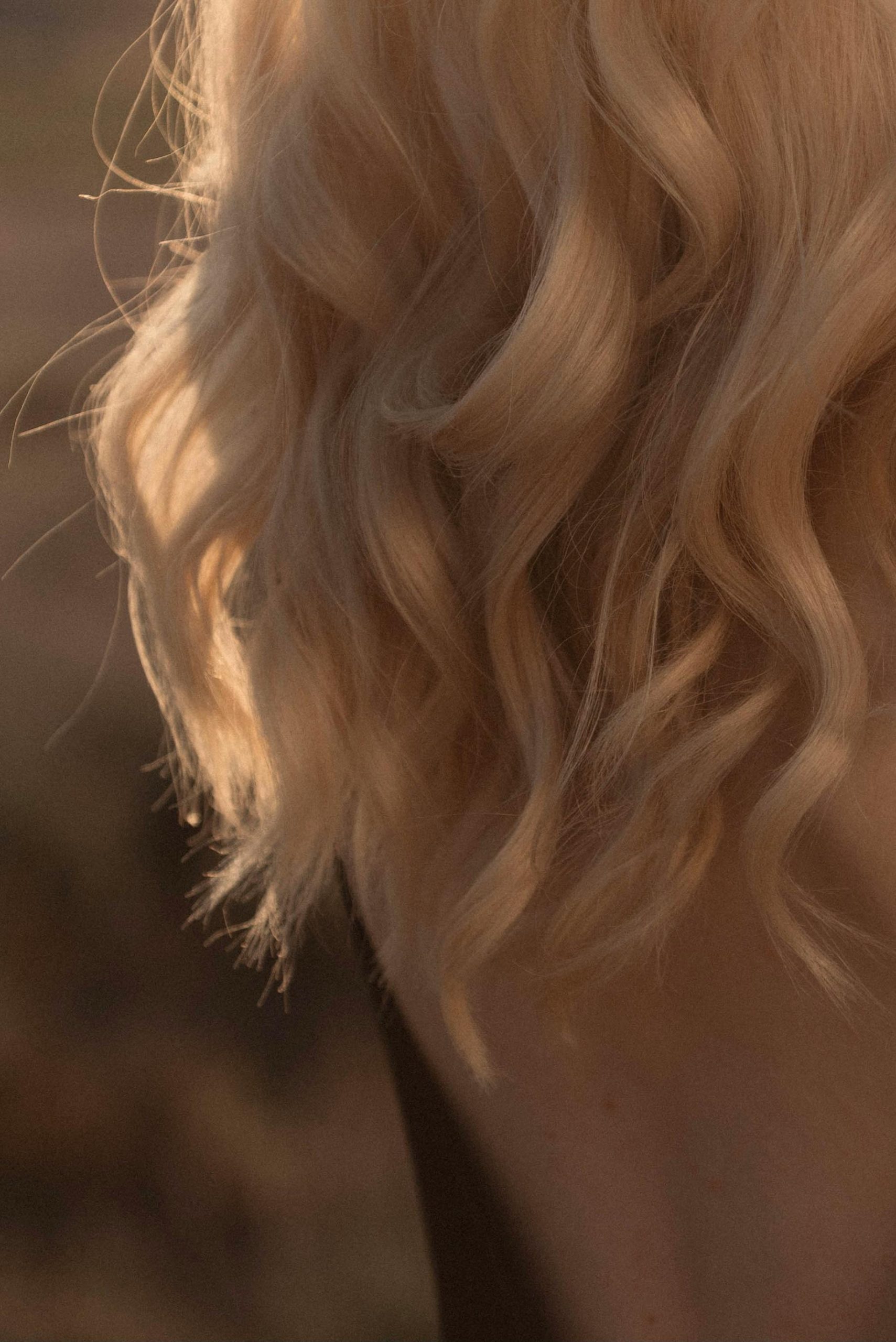Cheveux 2c anti-frisottis