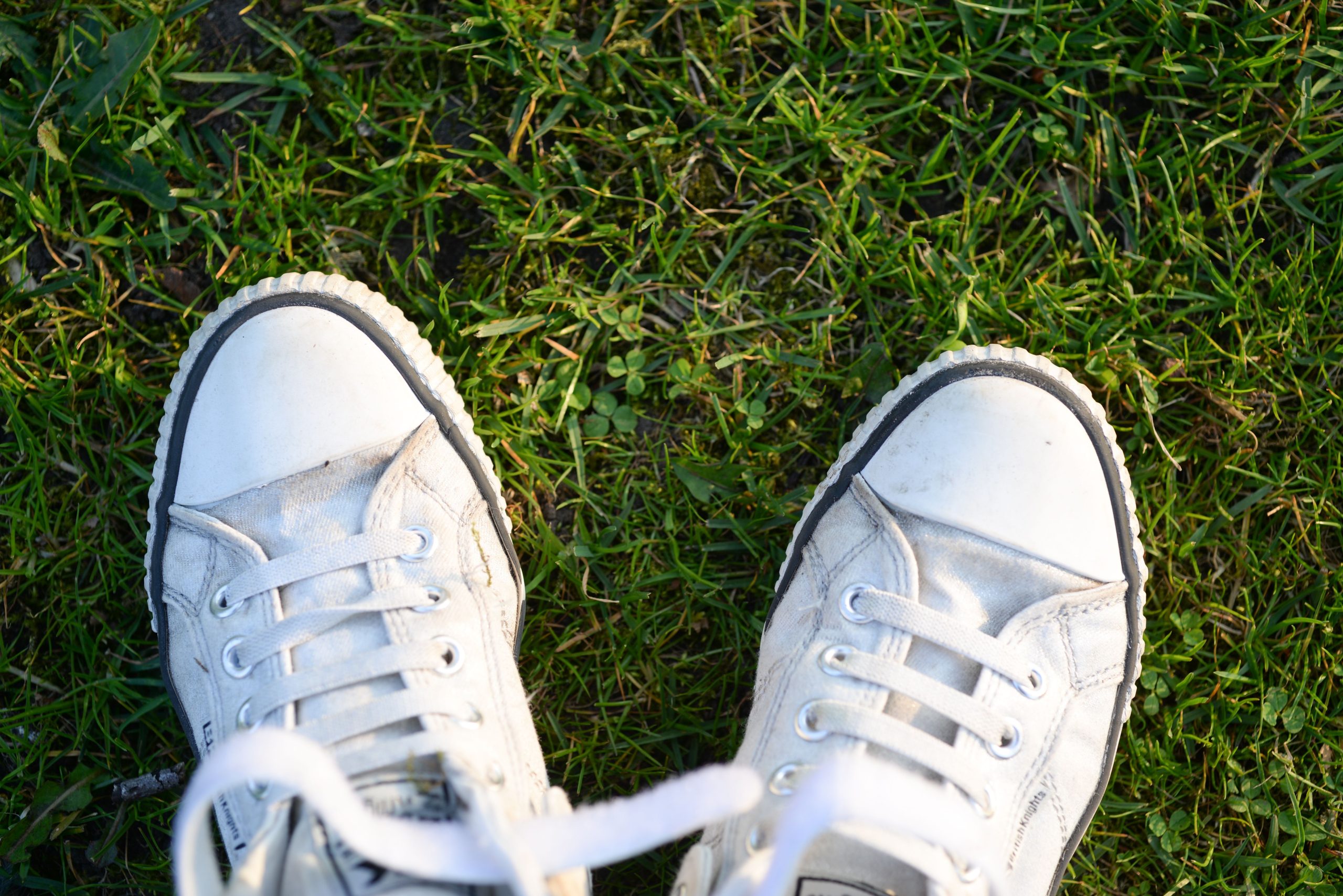 Comment nettoyer des lacets blancs jaunis ? 4 Lacets blancs et jaunes comparaison