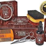 Viking Revolution, vue 2