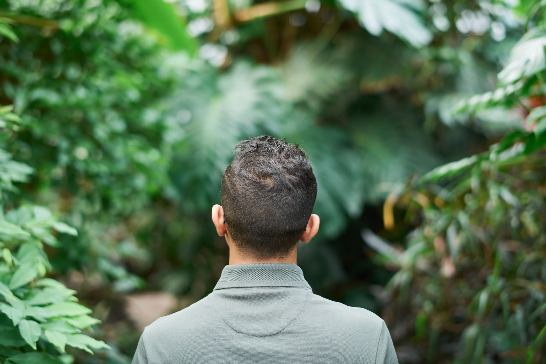 Homme vu de dos, cheveux courts et sommet du crâne visible