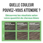Just for Men Chatain Moyen Clair H30, vue 1