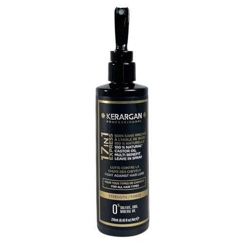 KERARGAN, vue 1