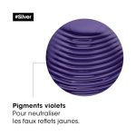 L’Oréal Professionnel Silver, vue 2